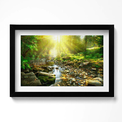 Keretezett kép Erdei patak napsütésben
