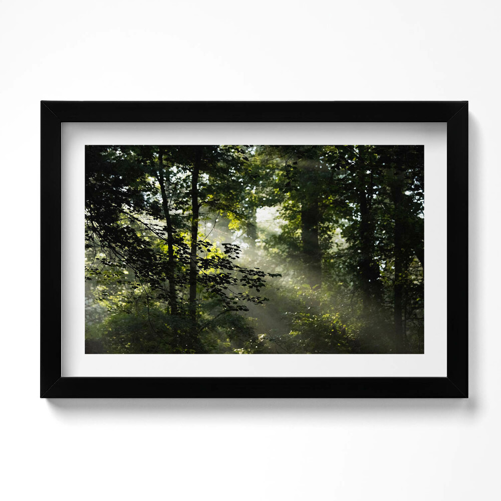 Keretezett kép Napfény és fák