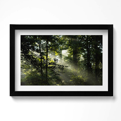 Keretezett kép Napfény és fák