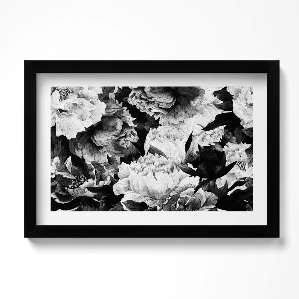 Keretezett kép Fekete-fehér pünkösdi rózsavirágok