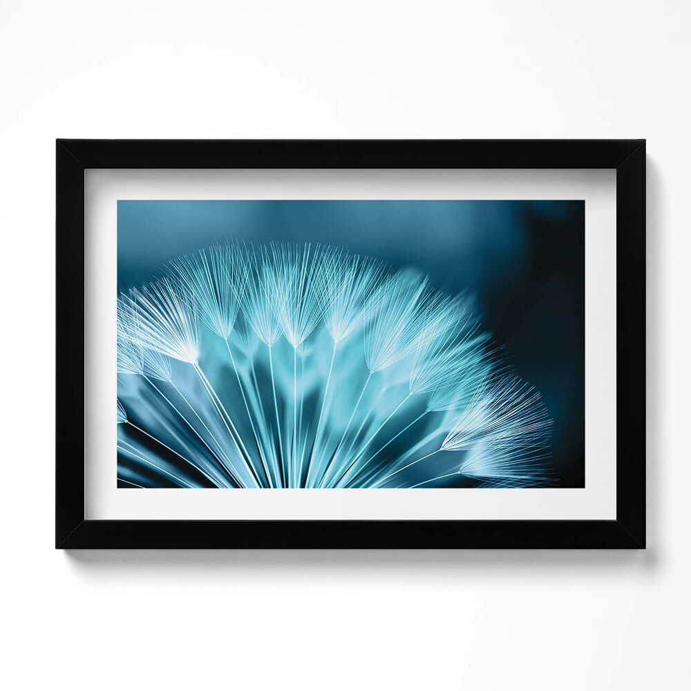 Keretezett kép Közelkép egy lepkéről