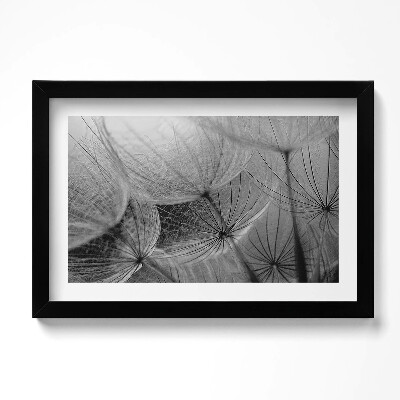 Kép keretben Fekete-fehér közelkép egy lepkéről