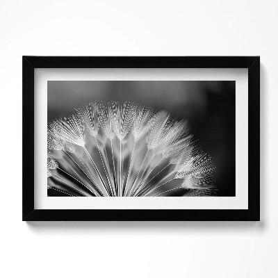 Keretezett kép Fekete-fehér közelkép egy lepkéről