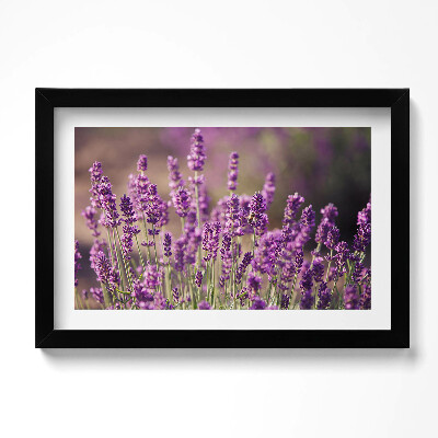 Keretezett kép Levendulavirágos rét