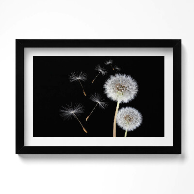 Kép keretben Két pitypang