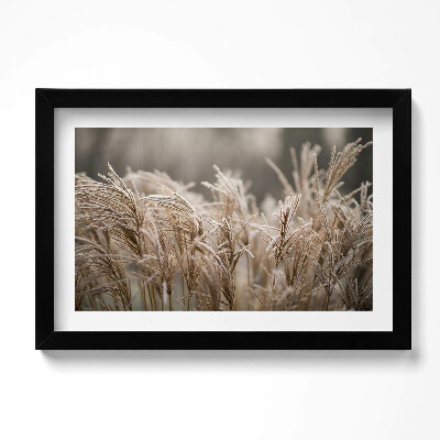 Keretezett kép Boho delicate grasses