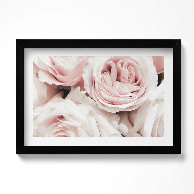 Keretezett kép Halvány rózsaszín virágok finom rózsák