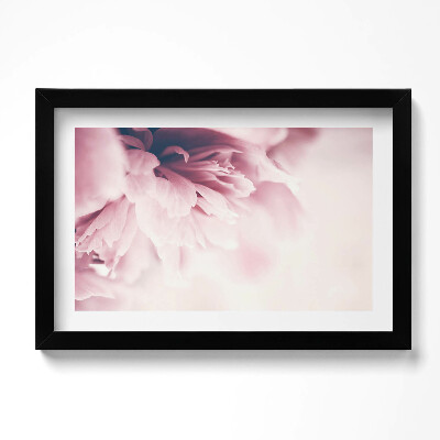 Kép keretben Close-up of peony petals