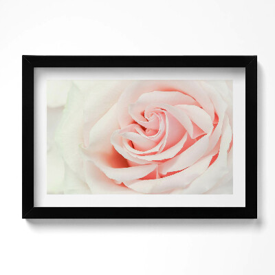 Keretezett kép Close-up of rose petals