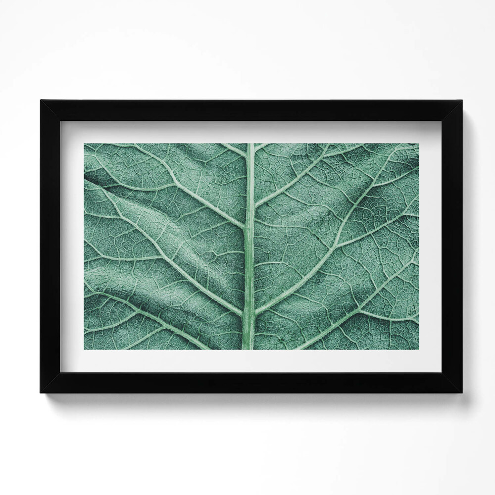 Kép keretben Közelkép egy levél erezetéről