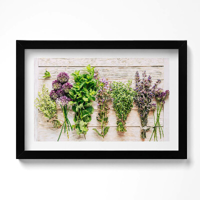 Keretezett kép Növények és gyógynövények táblákon