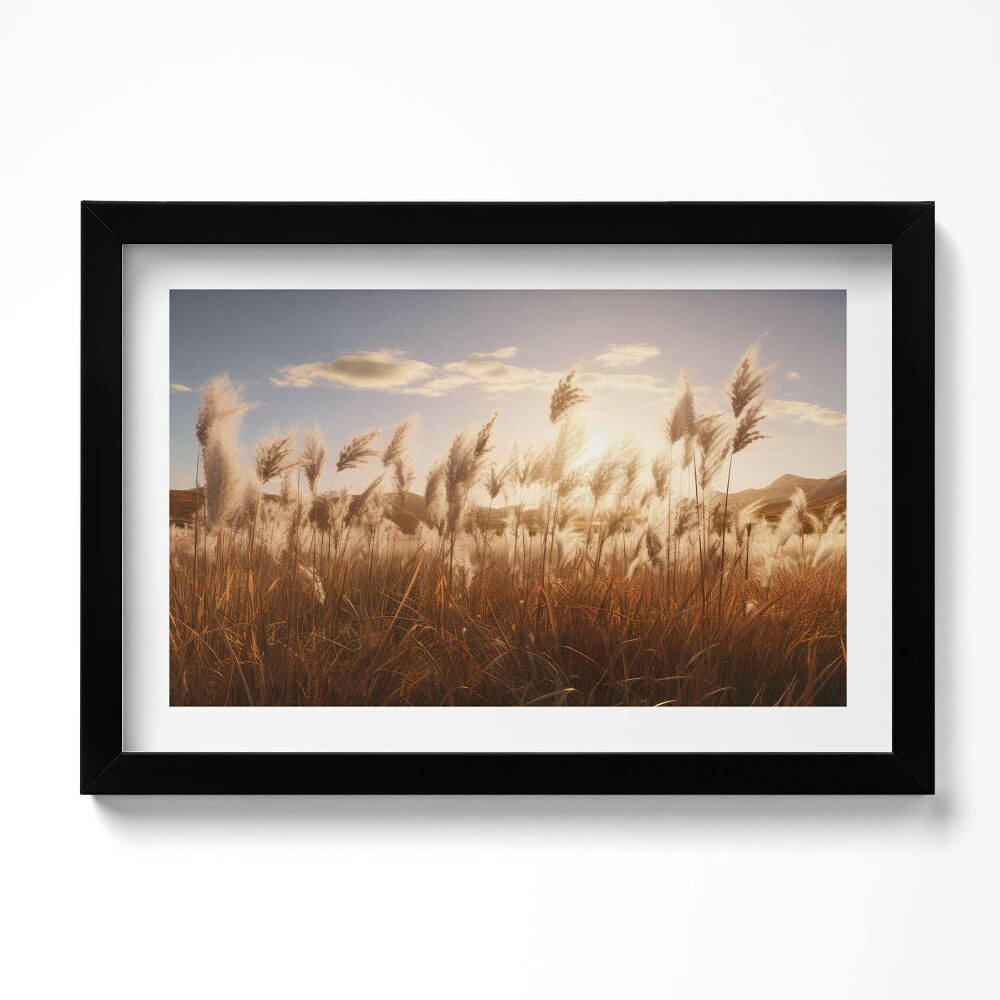 Keretezett kép Romantikus naplemente fű felett