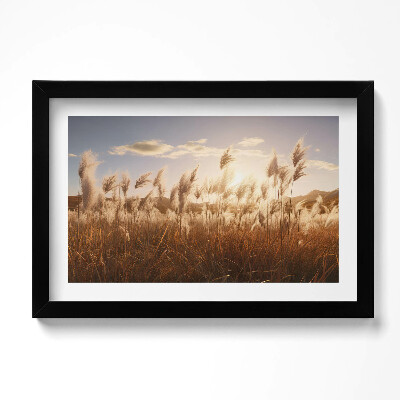Keretezett kép Romantikus naplemente fű felett