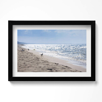 Keretezett kép Tengeri hullámok és egy madár a tengerparton