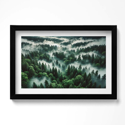 Keretezett kép Tájkép reggeli köddel az erdőben