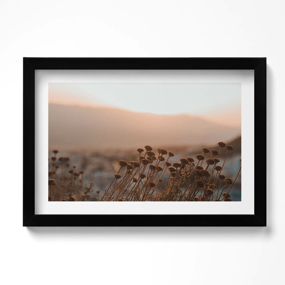 Keretezett kép Boho romantikus füves tájkép