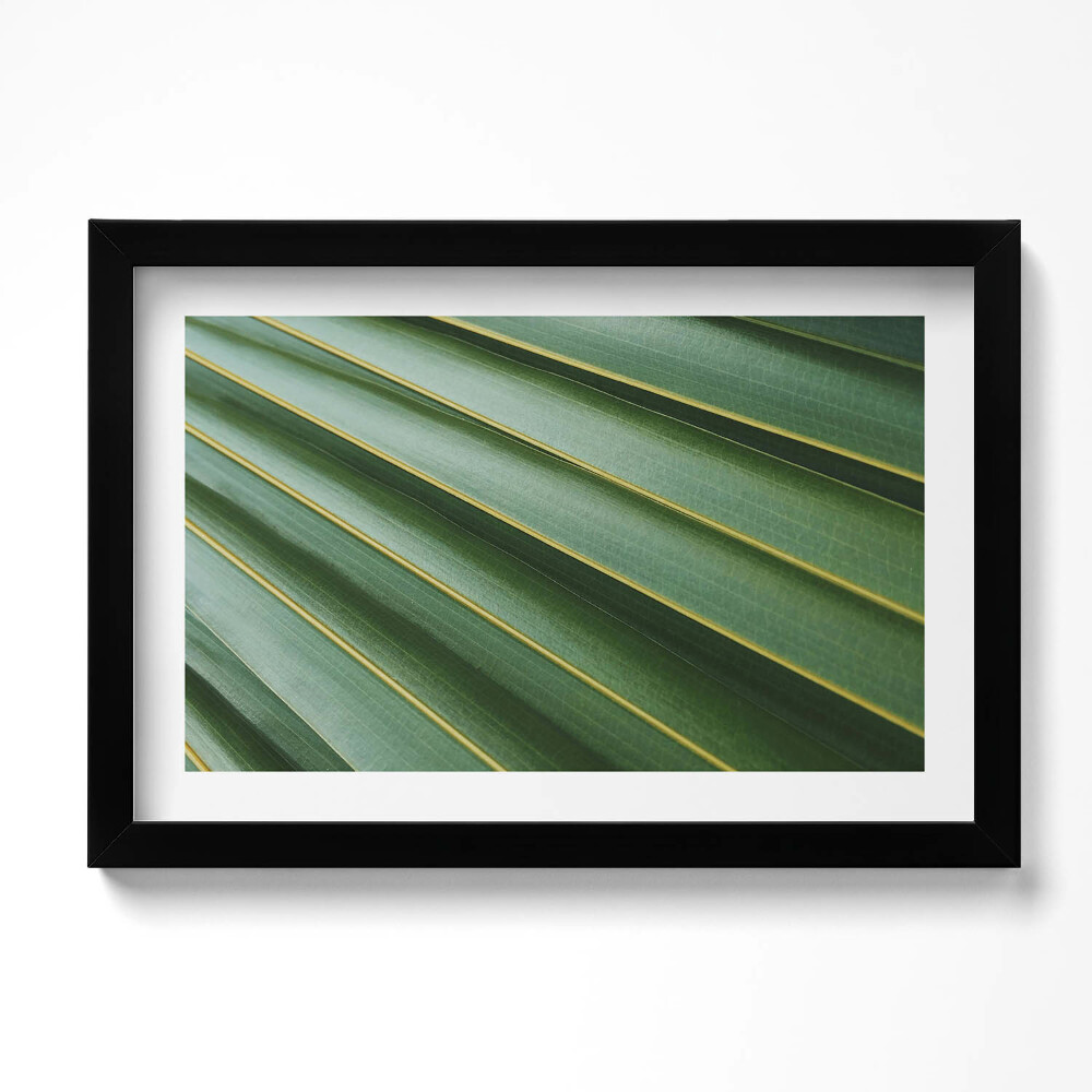 Kép keretben Zöld növények textúrája