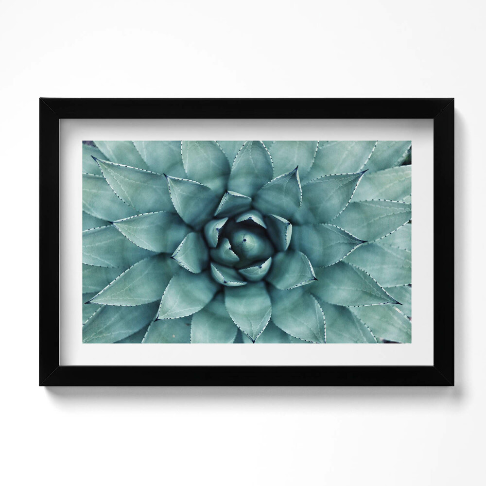 Kép keretben Zöld zamatos növény