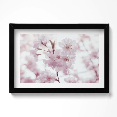 Keretezett kép Finom halvány rózsaszín virágok