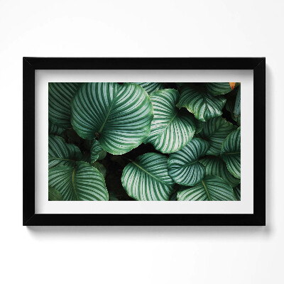 Keretezett kép Nagy zöld levelek