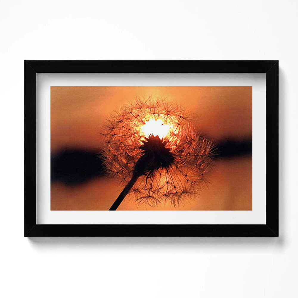 Keretezett kép Fúvógép naplementében