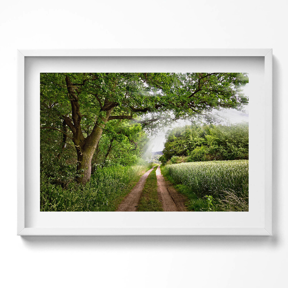 Kép keretben Zöld dombos táj keskeny ösvény