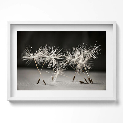 Kép keretben Pillecukor virágok közelről