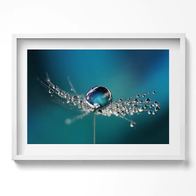 Kép keretben Vízcsepp és háló