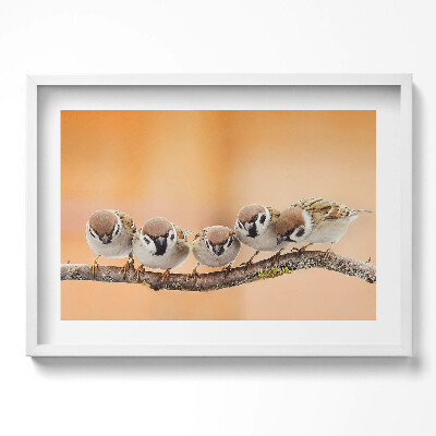 Kép keretben Cinkék egy ágon