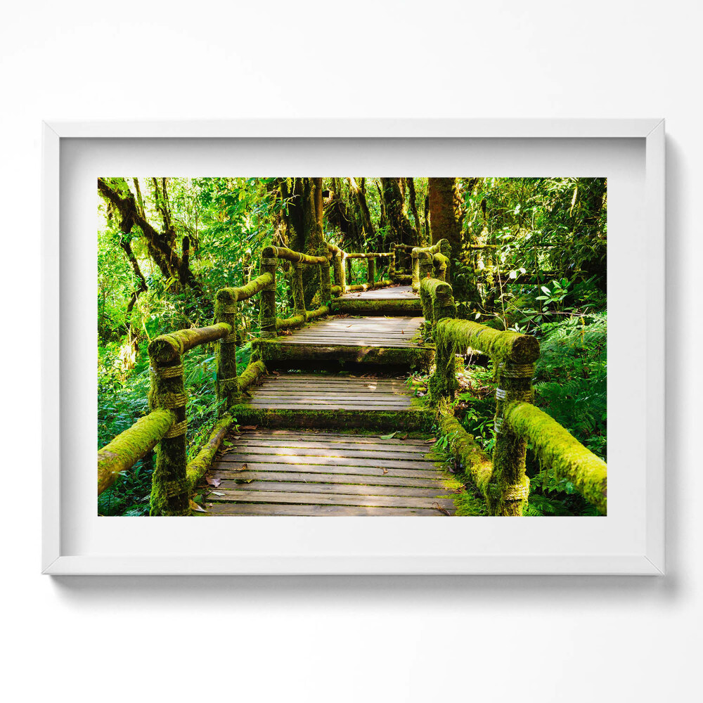 Kép keretben Zöld erdei ösvény