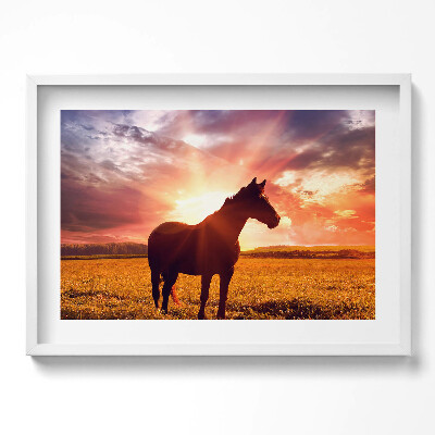Kép keretben Fekete ló naplementében