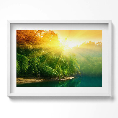 Kép keretben Napfényes erdei táj