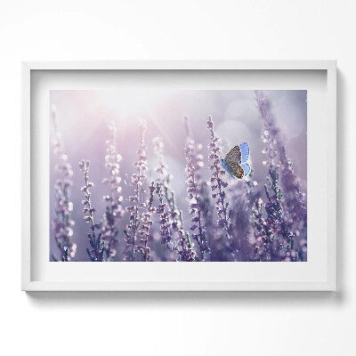 Kép keretben Lila virágok és pillangó