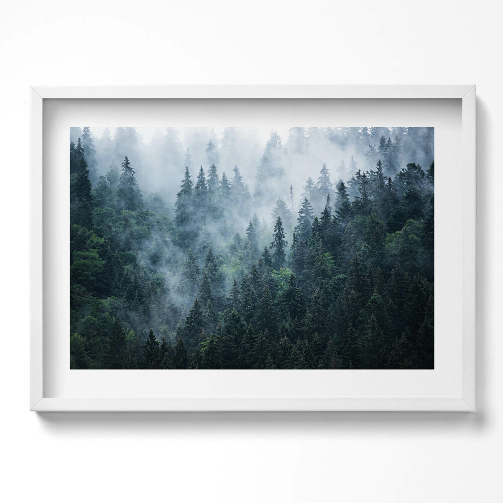 Kép keretben Füves ködös erdő