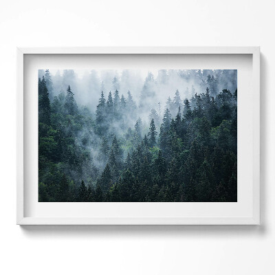 Kép keretben Füves ködös erdő