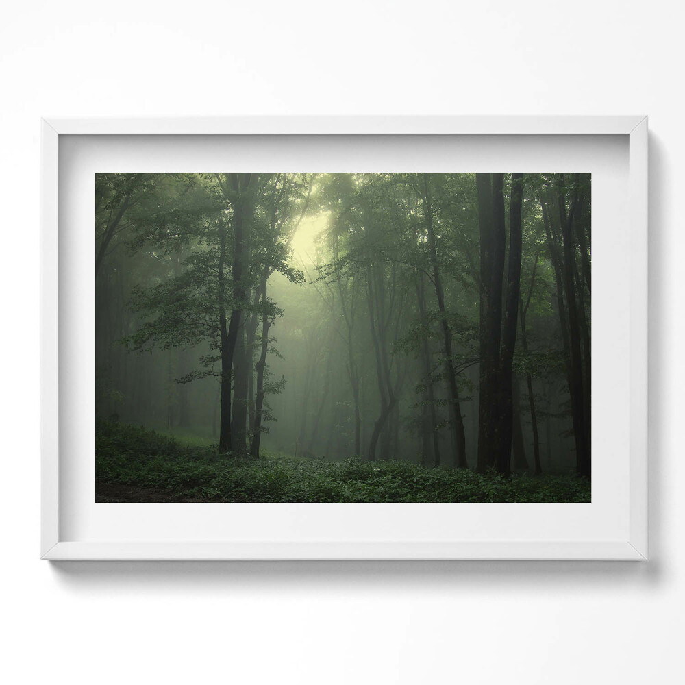 Kép keretben Zöld erdő ködben