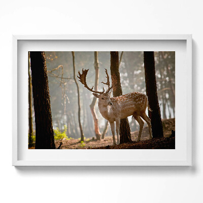 Kép keretben Szarvas az erdőben