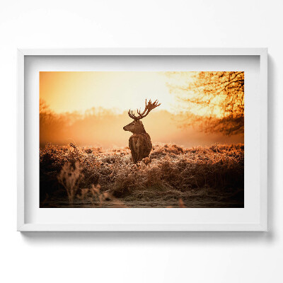 Kép keretben Szarvas naplementében