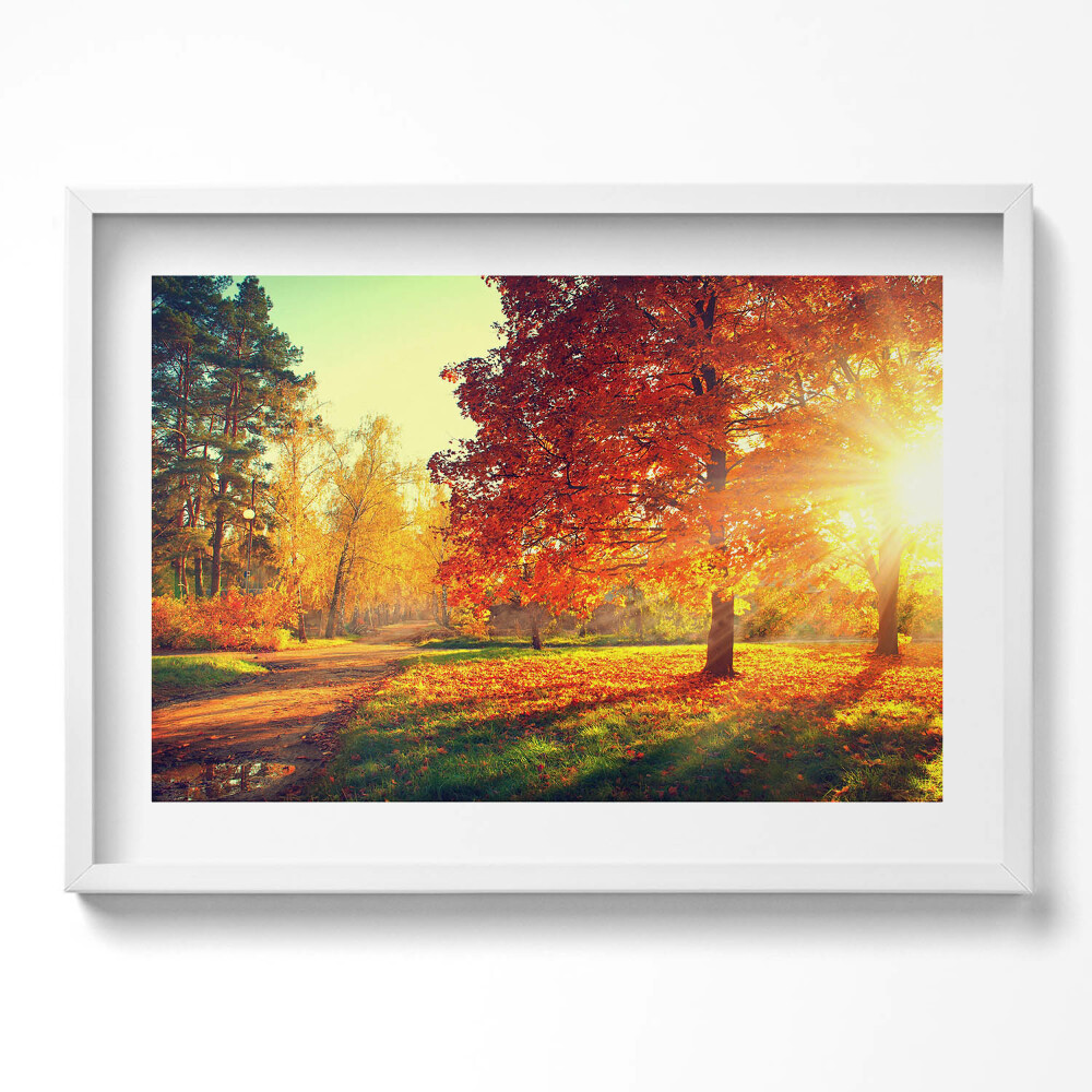 Kép keretben Őszi táj vörös falevelek