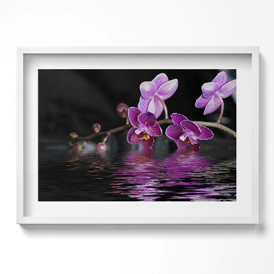 Kép keretben Lila orchidea víz tükröződésével