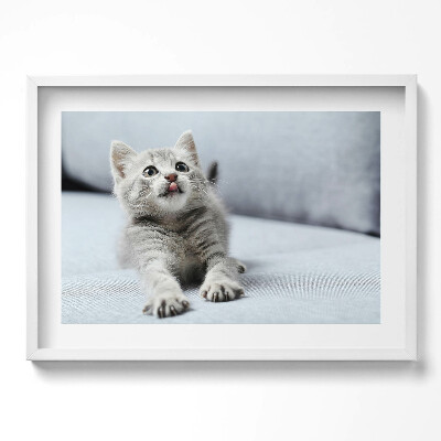 Kép keretben Cuki nyújtózó macska