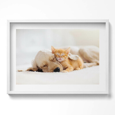 Kép keretben Kutyus és cica együtt alszanak