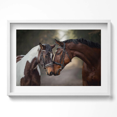 Kép keretben Két ló összeborulása