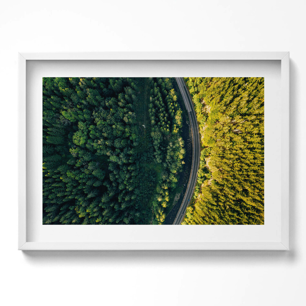 Kép keretben Zöld erdő és kanyarodó út