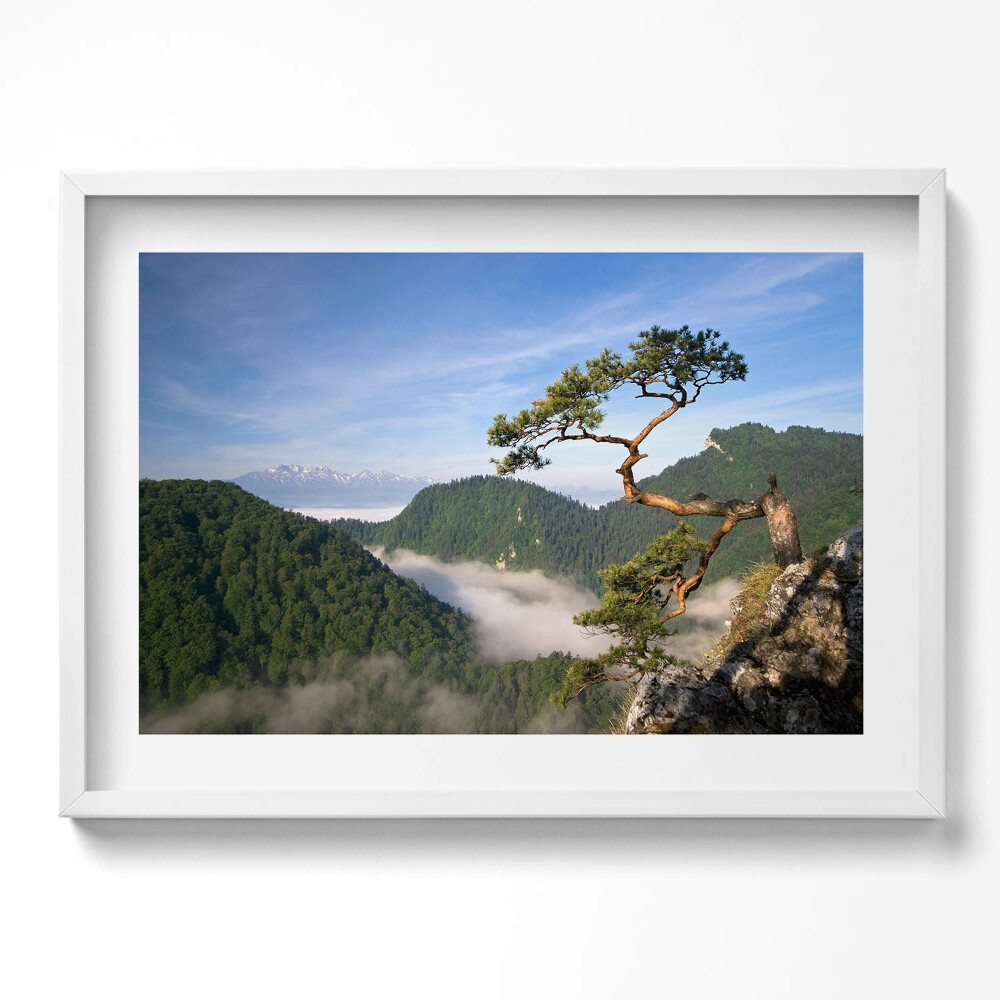 Kép keretben Hegyek és fák ködben