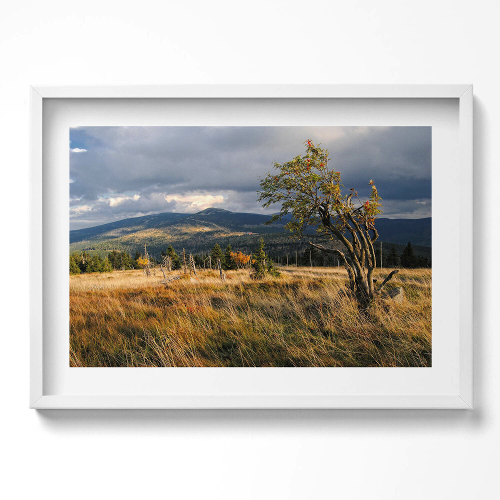 Kép keretben Hegyek és fák tája