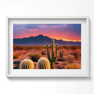 Kép keretben Sivatagi táj kaktuszok naplemente