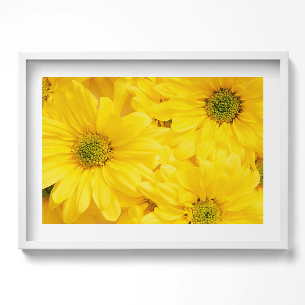 Kép keretben Sárga virágok közelről