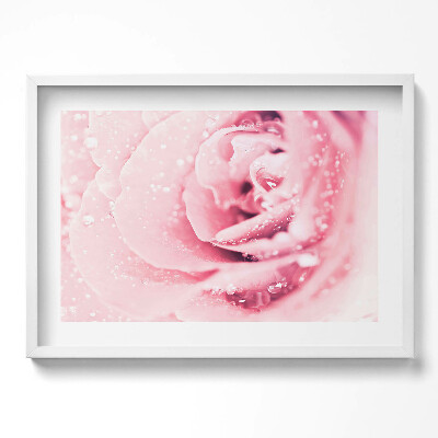 Kép keretben Rózsaszín rózsa vízcseppekkel