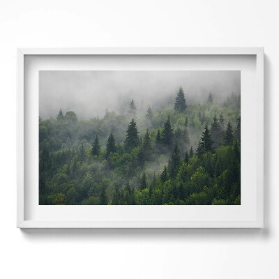 Kép keretben Zöld erdő ködben